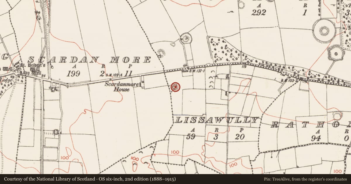 Ordnance Survey six-inch map, 2nd edition (1888–1915) covering the location of Barrow - ring-barrow, Lissawully, County Sligo, with a pin at the register's coordinates