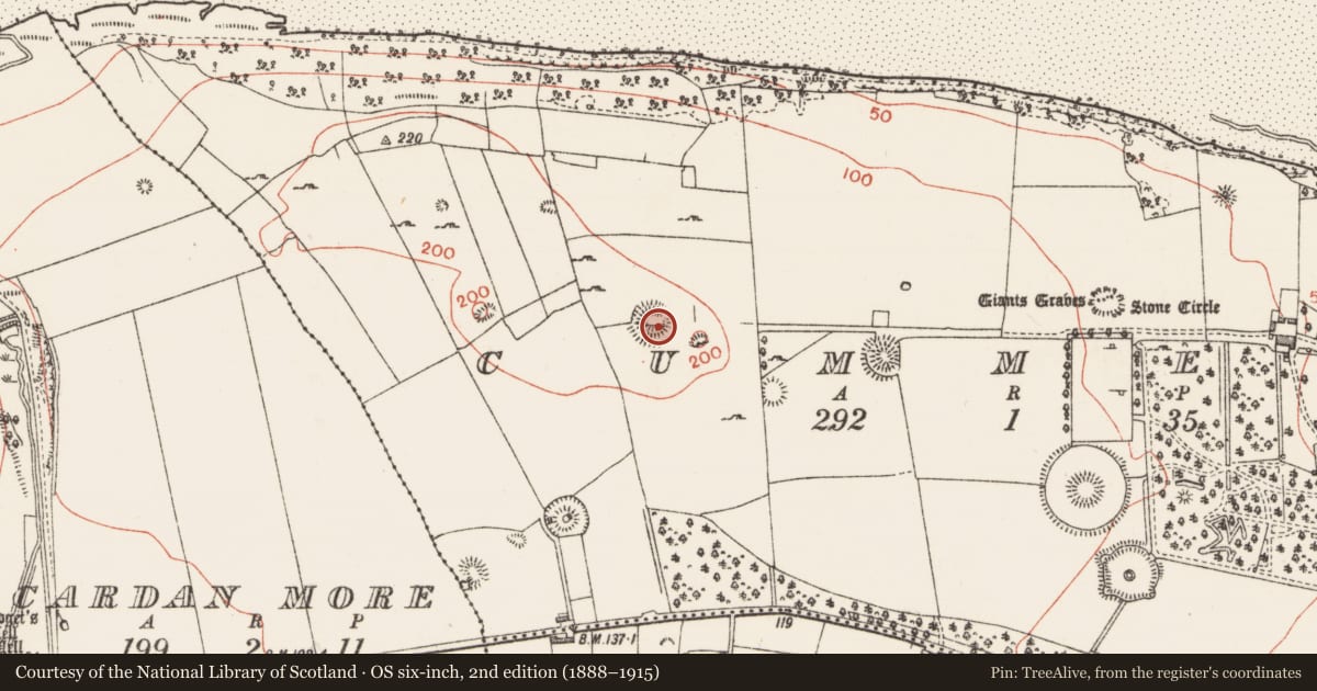 Ordnance Survey six-inch map, 2nd edition (1888–1915) covering the location of Ringfort - rath, Cummeen, County Sligo, with a pin at the register's coordinates