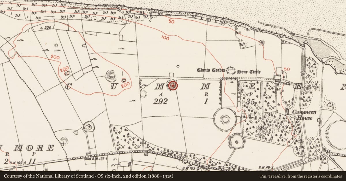Ordnance Survey six-inch map, 2nd edition (1888–1915) covering the location of Ringfort - rath, Cummeen, County Sligo, with a pin at the register's coordinates