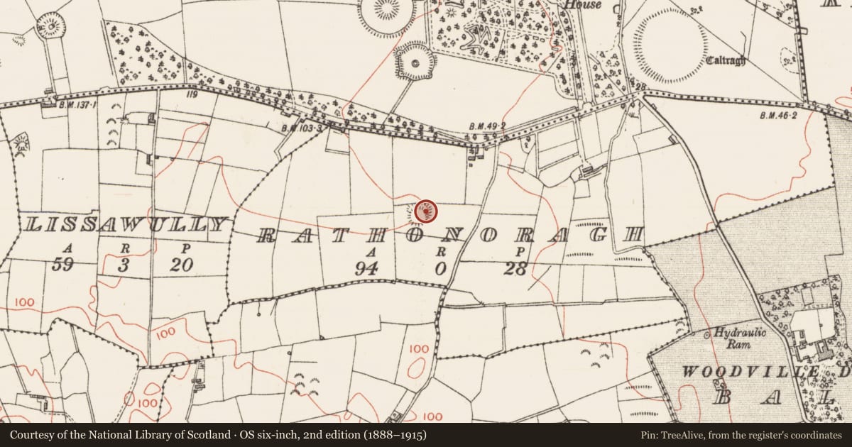 Ordnance Survey six-inch map, 2nd edition (1888–1915) covering the location of Ringfort - rath, Rathonoragh, County Sligo, with a pin at the register's coordinates