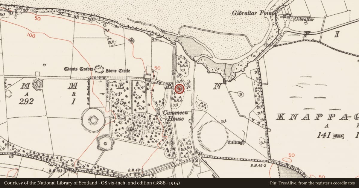 Ordnance Survey six-inch map, 2nd edition (1888–1915) covering the location of Designed landscape - tree-ring, Cummeen, County Sligo, with a pin at the register's coordinates