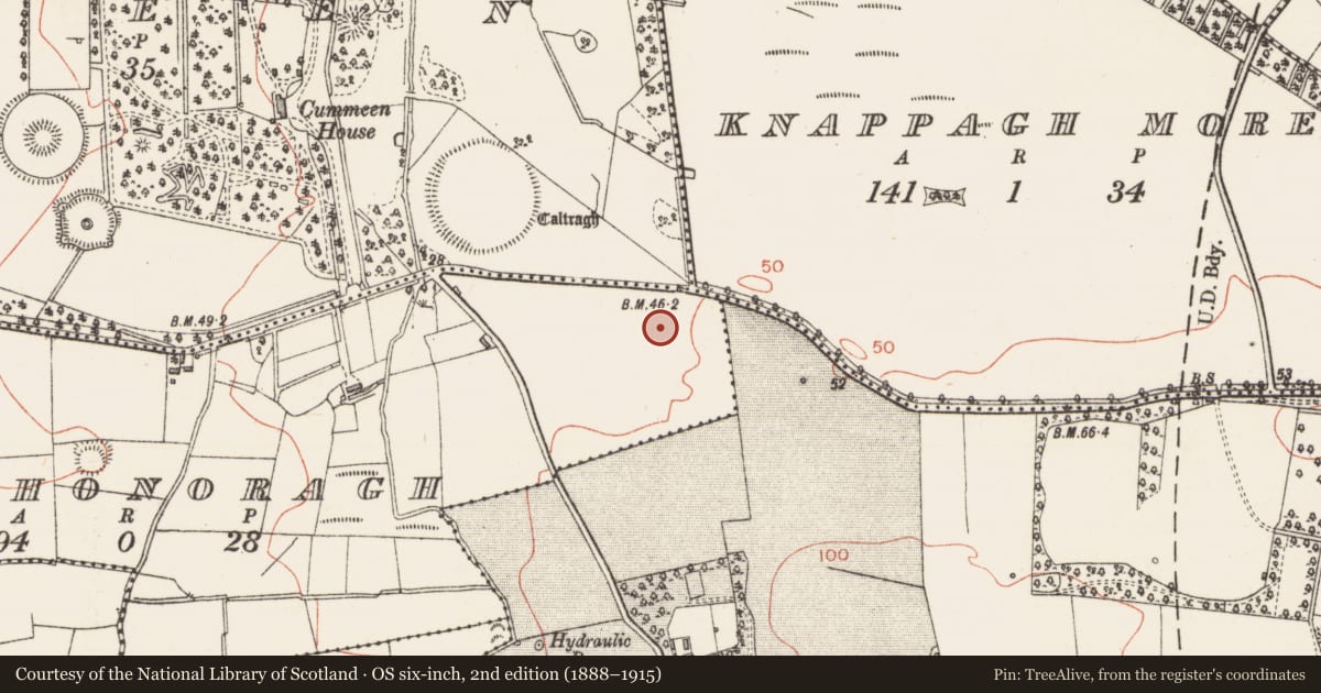Ordnance Survey six-inch map, 2nd edition (1888–1915) covering the location of Enclosure, Rathonoragh, County Sligo, with a pin at the register's coordinates