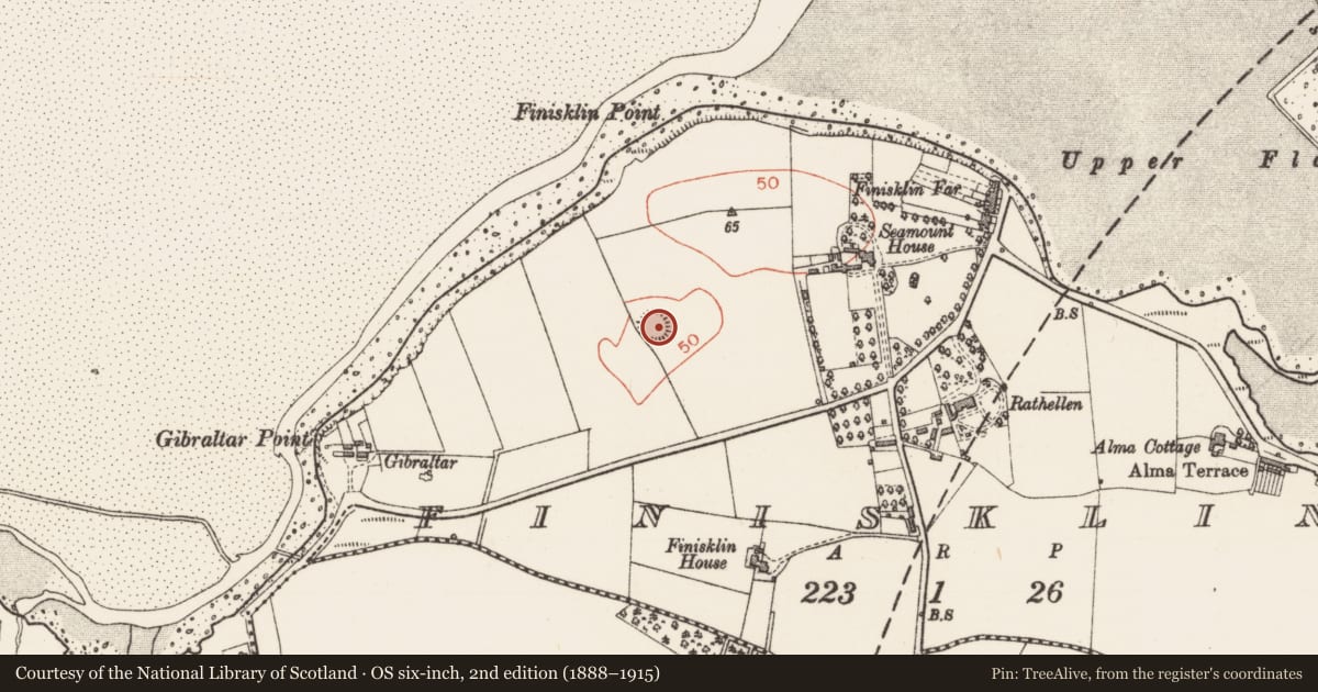 Ordnance Survey six-inch map, 2nd edition (1888–1915) covering the location of Ringfort - rath, Finisklin, County Sligo, with a pin at the register's coordinates