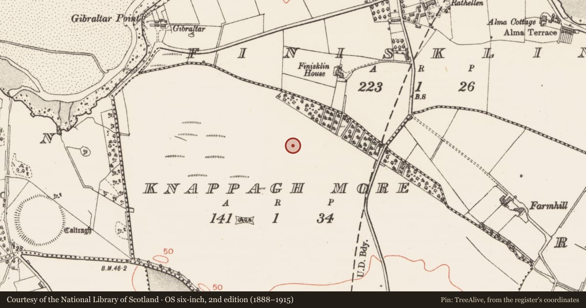 Ordnance Survey six-inch map, 2nd edition (1888–1915) covering the location of Enclosure, Knappagh More, County Sligo, with a pin at the register's coordinates