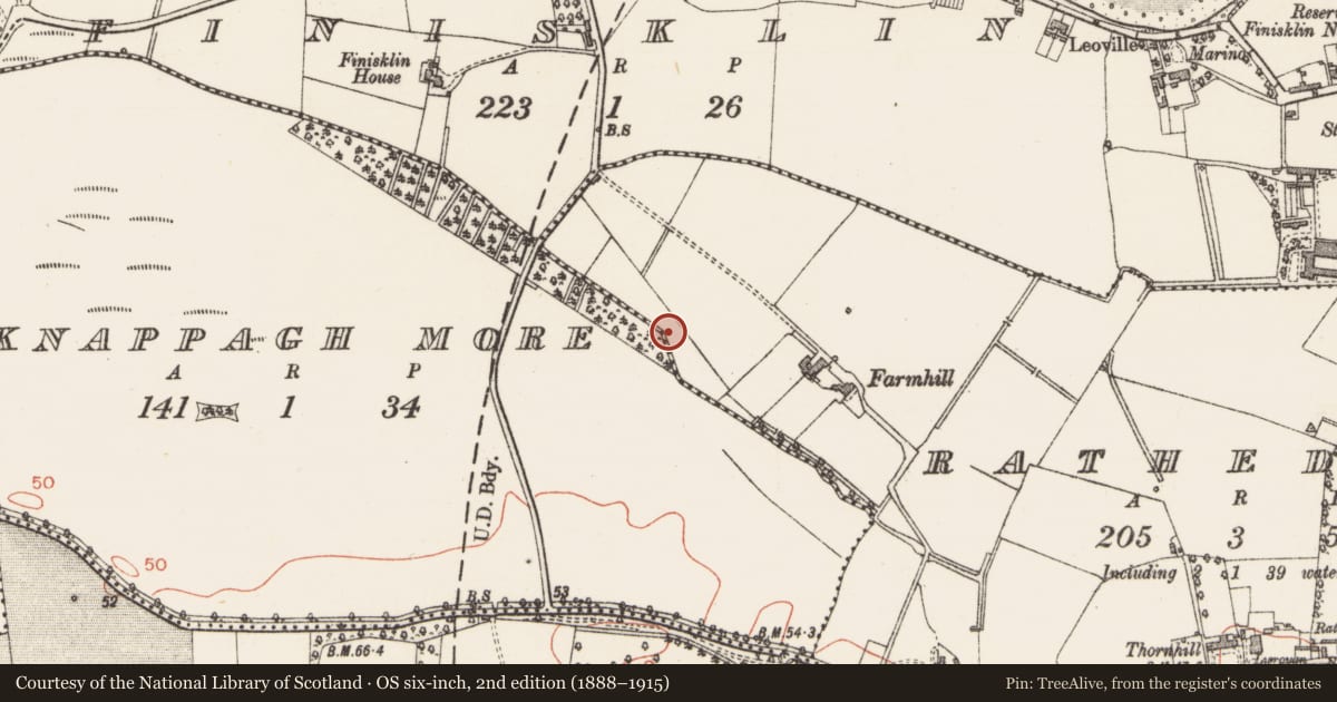 Ordnance Survey six-inch map, 2nd edition (1888–1915) covering the location of Fulacht fia, Knappagh More, County Sligo, with a pin at the register's coordinates