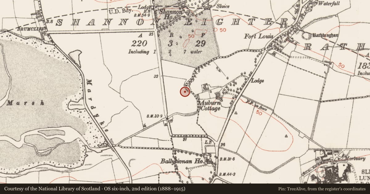 Ordnance Survey six-inch map, 2nd edition (1888–1915) covering the location of Ringfort - rath, Shannon Eighter, County Sligo, with a pin at the register's coordinates