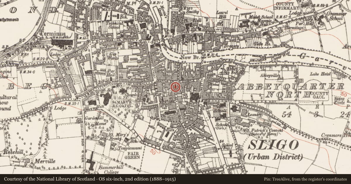 Ordnance Survey six-inch map, 2nd edition (1888–1915) covering the location of Cross - Market cross, Abbeyquarter South, Magheraboy, County Sligo, with a pin at the register's coordinates