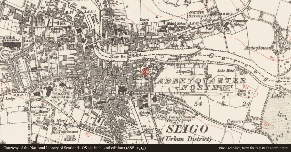 Ordnance Survey six-inch map, 2nd edition (1888–1915) covering the location of Wall monument, Abbeyquarter North, County Sligo, with a pin at the register's coordinates