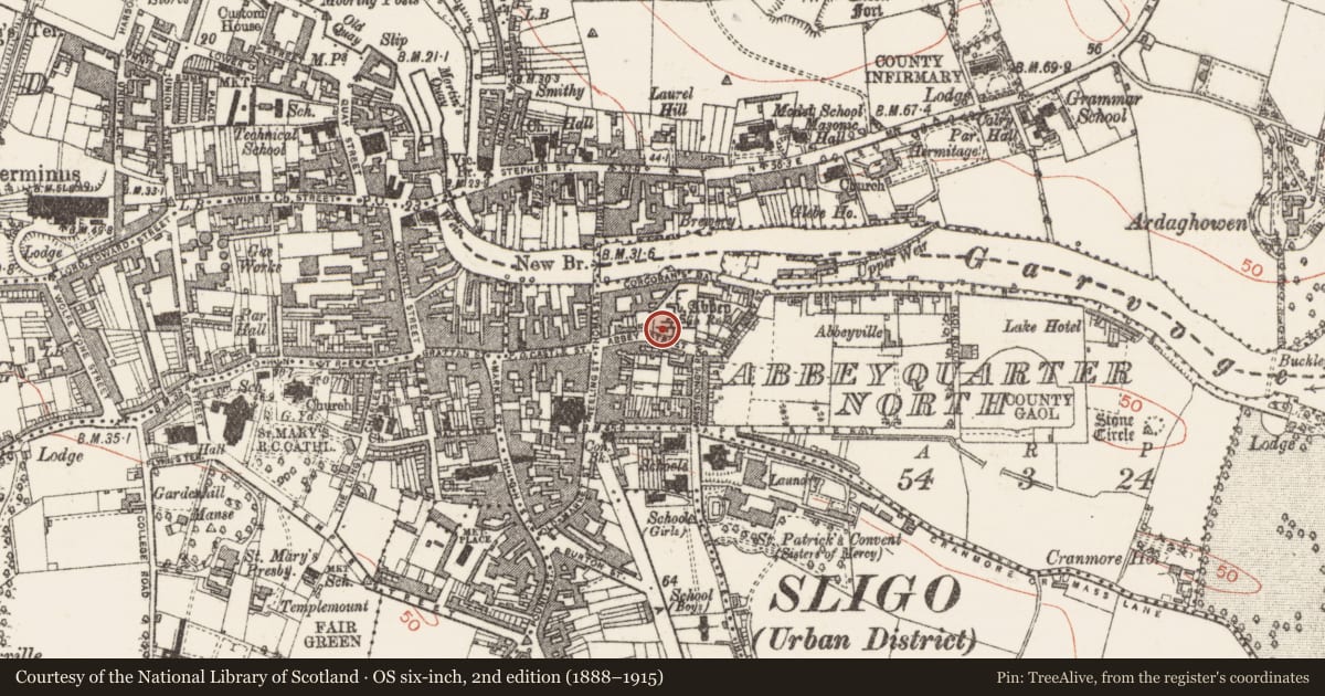 Ordnance Survey six-inch map, 2nd edition (1888–1915) covering the location of Graveslab, Abbeyquarter North, County Sligo, with a pin at the register's coordinates