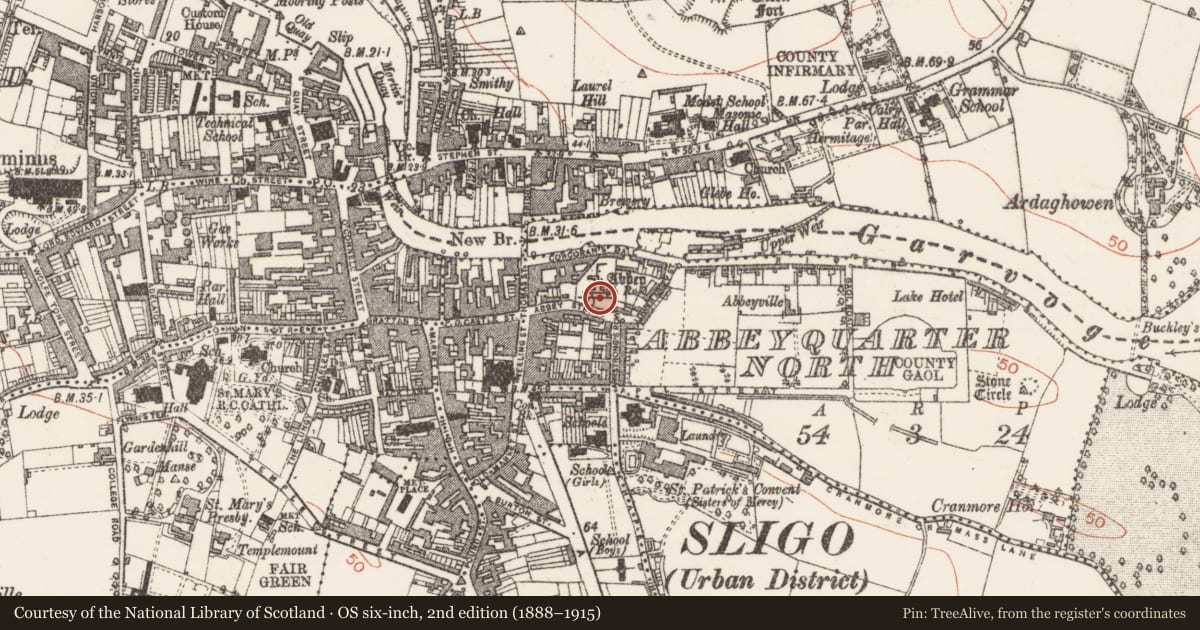 Ordnance Survey six-inch map, 2nd edition (1888–1915) covering the location of Graveslab, Abbeyquarter North, County Sligo, with a pin at the register's coordinates