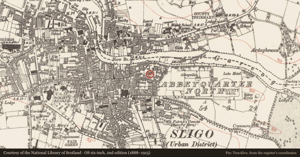 Ordnance Survey six-inch map, 2nd edition (1888–1915) covering the location of Graveslab, Abbeyquarter North, County Sligo, with a pin at the register's coordinates