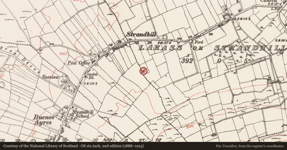 Ordnance Survey six-inch map, 2nd edition (1888–1915) covering the location of Enclosure, Larass Or Strandhill, County Sligo, with a pin at the register's coordinates