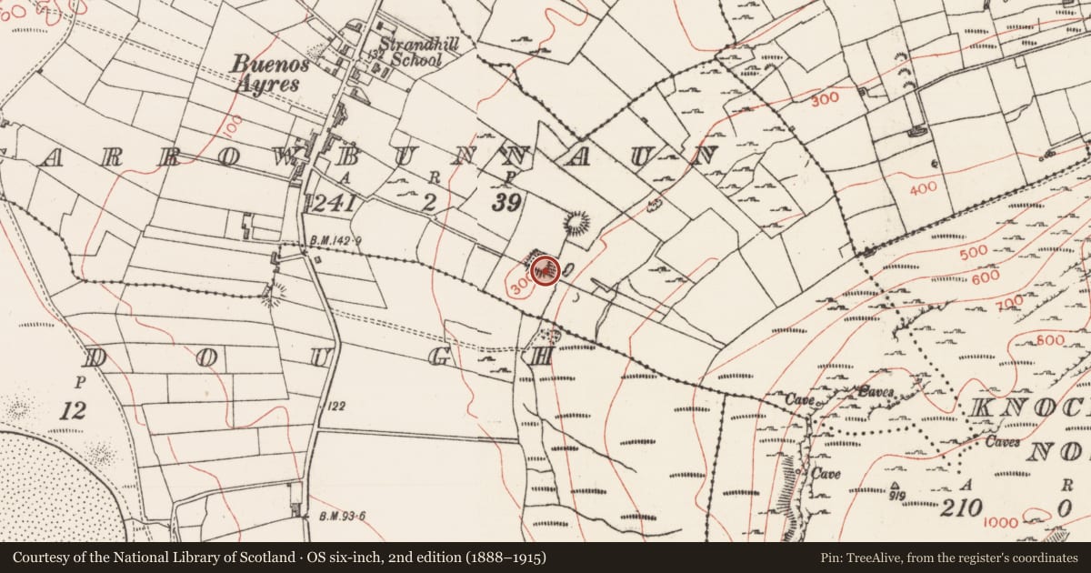 Ordnance Survey six-inch map, 2nd edition (1888–1915) covering the location of Moated site, Carrowbunnaun, County Sligo, with a pin at the register's coordinates