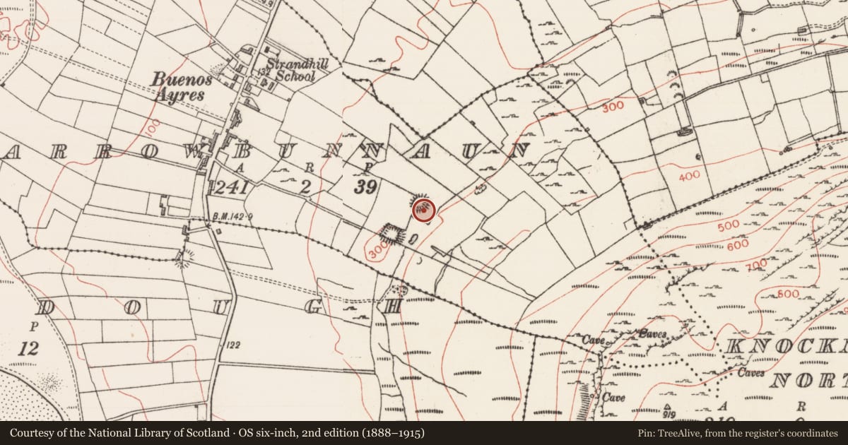 Ordnance Survey six-inch map, 2nd edition (1888–1915) covering the location of Ringfort - unclassified, Carrowbunnaun, County Sligo, with a pin at the register's coordinates