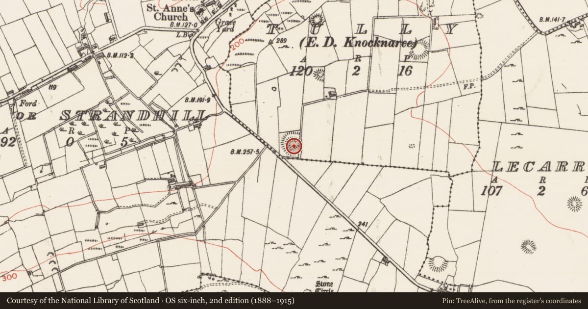 Ordnance Survey six-inch map, 2nd edition (1888–1915) covering the location of Souterrain, Tully, County Sligo, with a pin at the register's coordinates