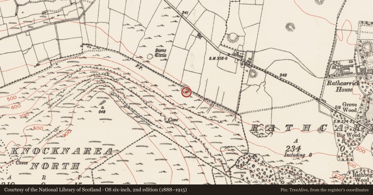 Ordnance Survey six-inch map, 2nd edition (1888–1915) covering the location of Earthwork, Larass Or Strandhill, County Sligo, with a pin at the register's coordinates