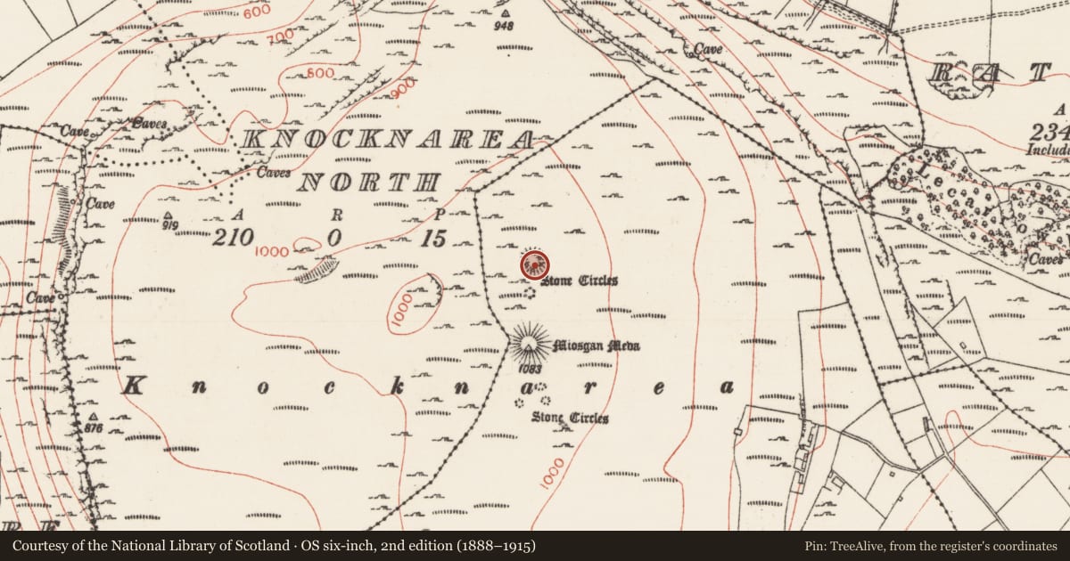 Ordnance Survey six-inch map, 2nd edition (1888–1915) covering the location of Megalithic tomb - passage tomb, Knocknarea South, County Sligo, with a pin at the register's coordinates