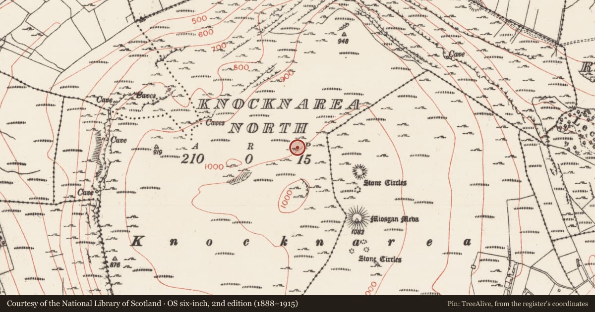 Ordnance Survey six-inch map, 2nd edition (1888–1915) covering the location of Field boundary, Knocknarea North, County Sligo, with a pin at the register's coordinates
