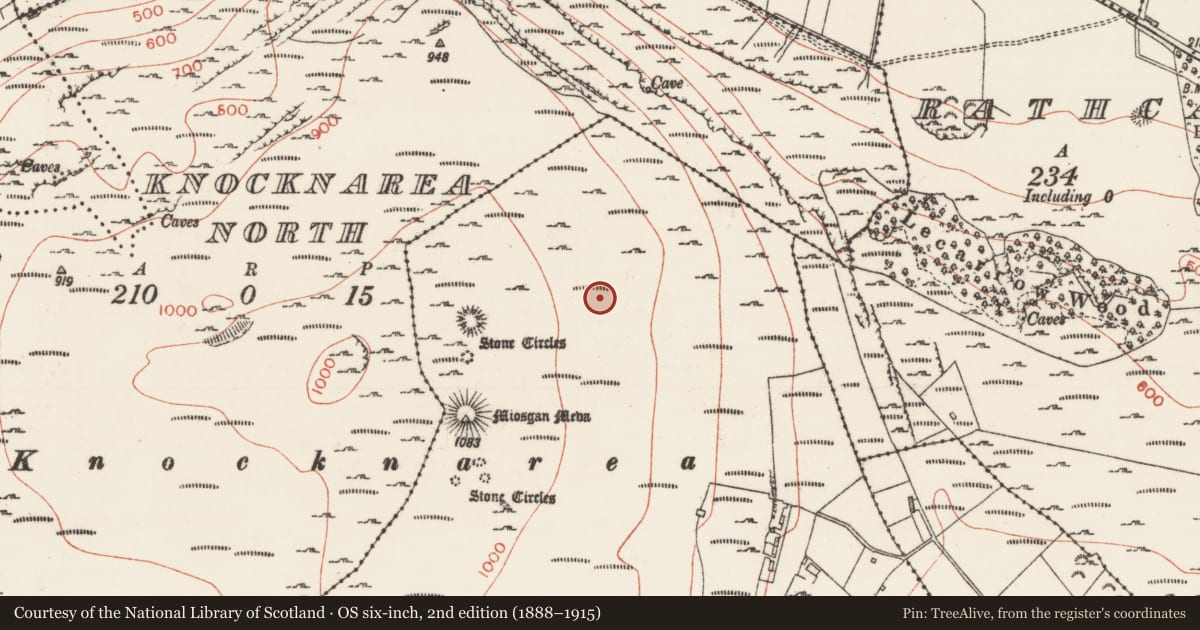 Ordnance Survey six-inch map, 2nd edition (1888–1915) covering the location of Hut site, Knocknarea South, County Sligo, with a pin at the register's coordinates