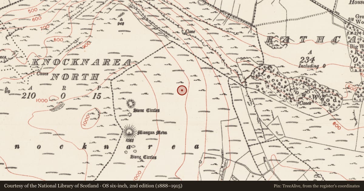 Ordnance Survey six-inch map, 2nd edition (1888–1915) covering the location of Hut site, Knocknarea South, County Sligo, with a pin at the register's coordinates