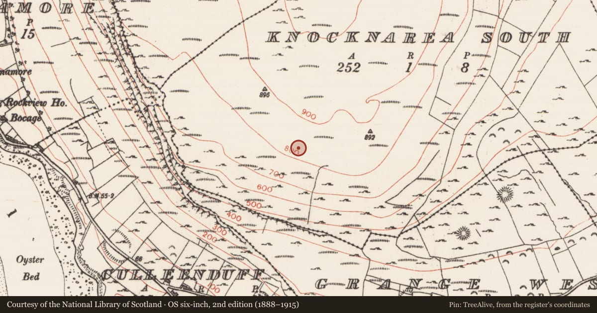 Ordnance Survey six-inch map, 2nd edition (1888–1915) covering the location of Hut site, Knocknarea South, County Sligo, with a pin at the register's coordinates