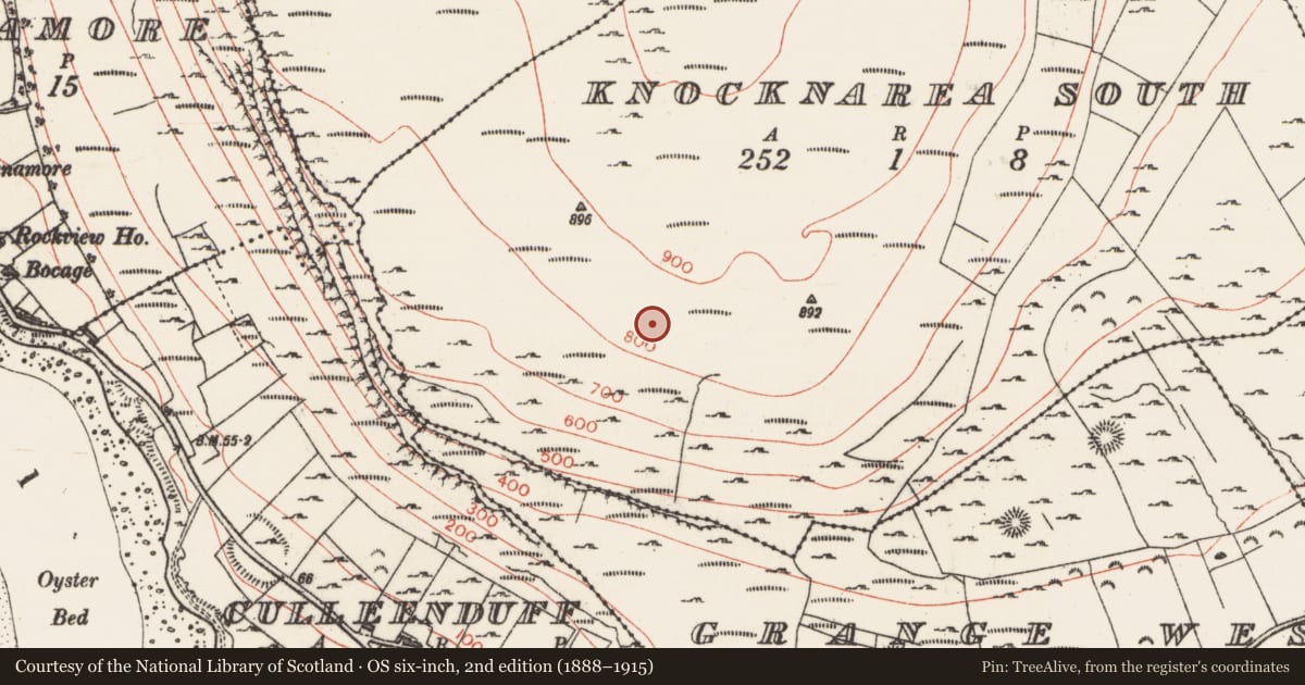 Ordnance Survey six-inch map, 2nd edition (1888–1915) covering the location of Hut site, Knocknarea South, County Sligo, with a pin at the register's coordinates