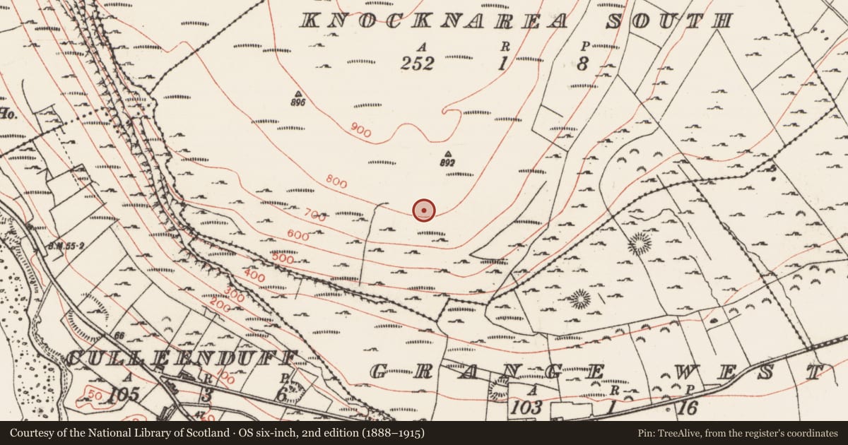 Ordnance Survey six-inch map, 2nd edition (1888–1915) covering the location of Hut site, Knocknarea South, County Sligo, with a pin at the register's coordinates