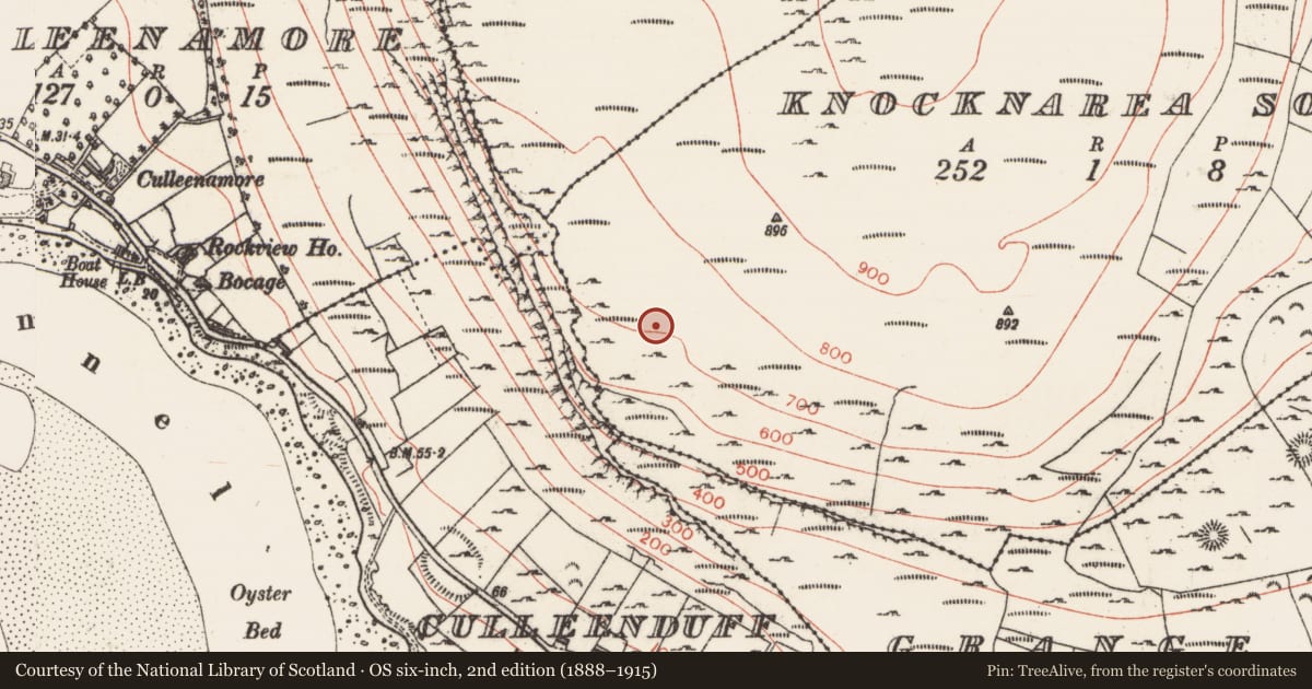 Ordnance Survey six-inch map, 2nd edition (1888–1915) covering the location of House - indeterminate date, Knocknarea South, County Sligo, with a pin at the register's coordinates