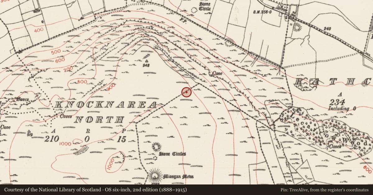 Ordnance Survey six-inch map, 2nd edition (1888–1915) covering the location of Hut site, Knocknarea North, County Sligo, with a pin at the register's coordinates