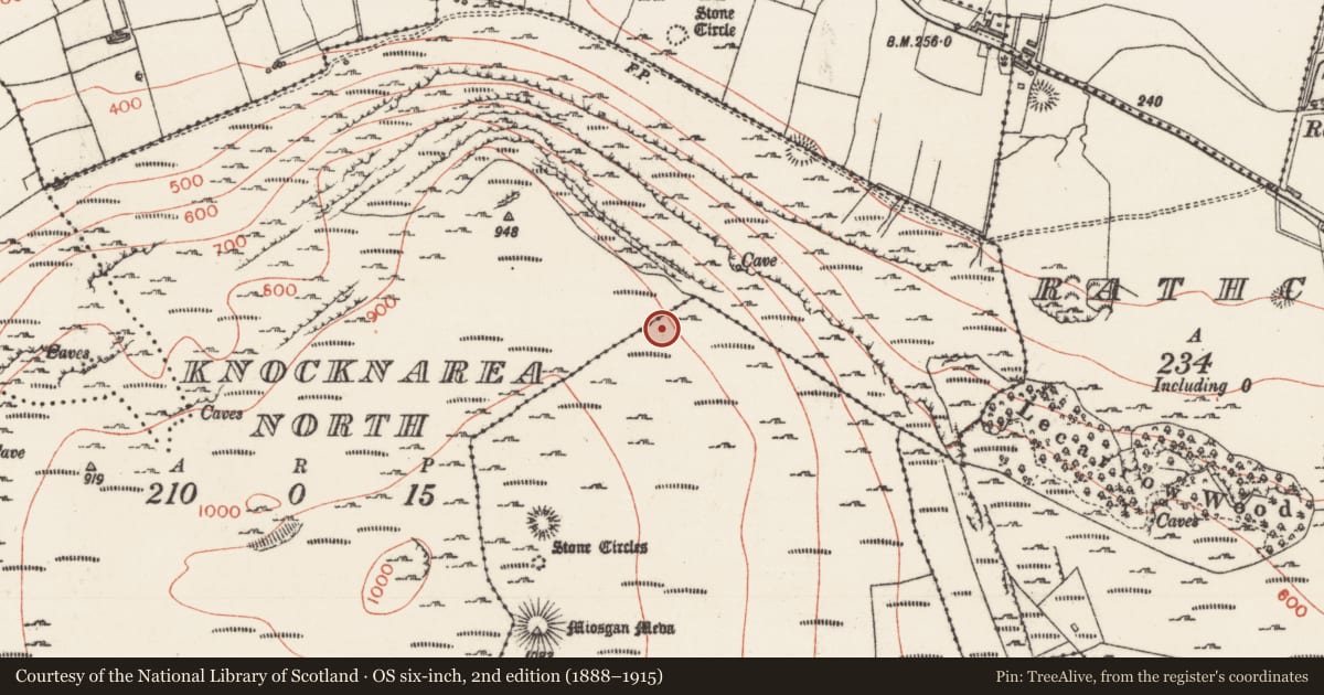 Ordnance Survey six-inch map, 2nd edition (1888–1915) covering the location of Hut site, Knocknarea South, County Sligo, with a pin at the register's coordinates
