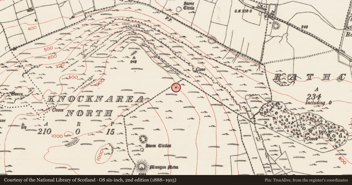Ordnance Survey six-inch map, 2nd edition (1888–1915) covering the location of Hut site, Knocknarea South, County Sligo, with a pin at the register's coordinates