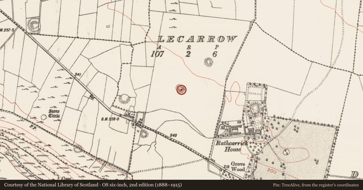 Ordnance Survey six-inch map, 2nd edition (1888–1915) covering the location of Ringfort - rath, Lecarrow, County Sligo, with a pin at the register's coordinates