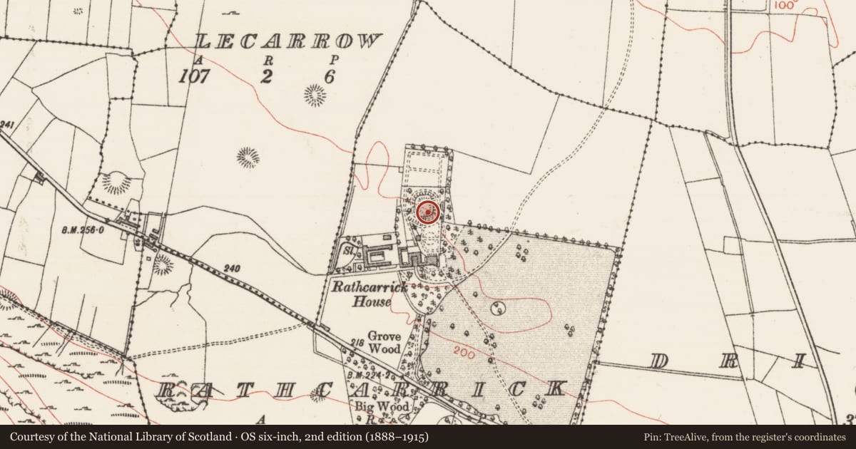 Ordnance Survey six-inch map, 2nd edition (1888–1915) covering the location of Ringfort - rath, Rathcarrick, County Sligo, with a pin at the register's coordinates