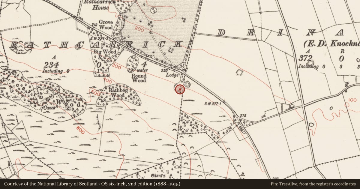 Ordnance Survey six-inch map, 2nd edition (1888–1915) covering the location of Ringfort - rath, Rathcarrick, County Sligo, with a pin at the register's coordinates