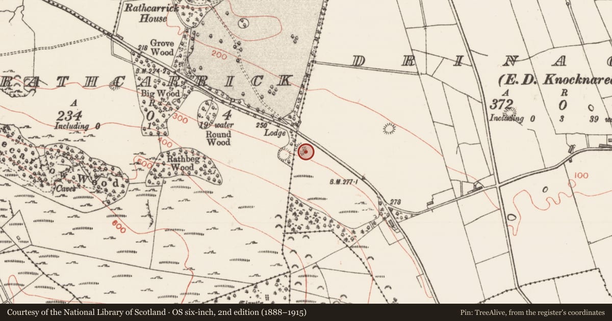 Ordnance Survey six-inch map, 2nd edition (1888–1915) covering the location of Ringfort - rath, Drinaghan, County Sligo, with a pin at the register's coordinates