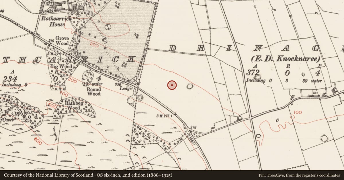 Ordnance Survey six-inch map, 2nd edition (1888–1915) covering the location of Ringfort - rath, Drinaghan, County Sligo, with a pin at the register's coordinates