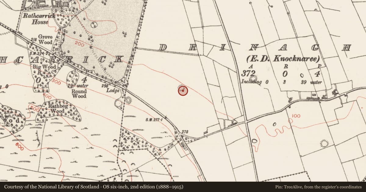 Ordnance Survey six-inch map, 2nd edition (1888–1915) covering the location of Ringfort - rath, Drinaghan, County Sligo, with a pin at the register's coordinates