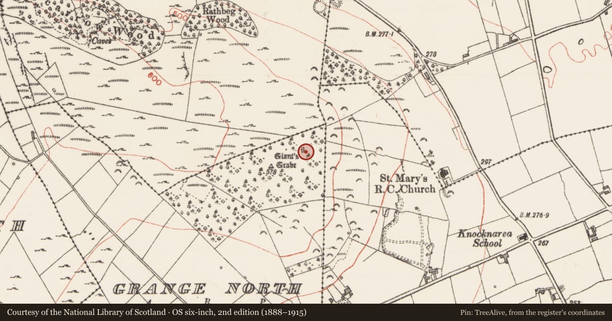 Ordnance Survey six-inch map, 2nd edition (1888–1915) covering the location of Megalithic tomb - passage tomb, Grange North, County Sligo, with a pin at the register's coordinates