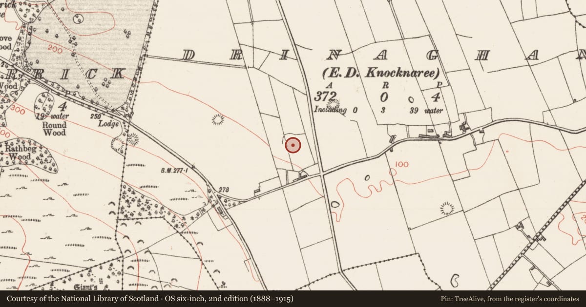 Ordnance Survey six-inch map, 2nd edition (1888–1915) covering the location of Ringfort - rath, Drinaghan, County Sligo, with a pin at the register's coordinates