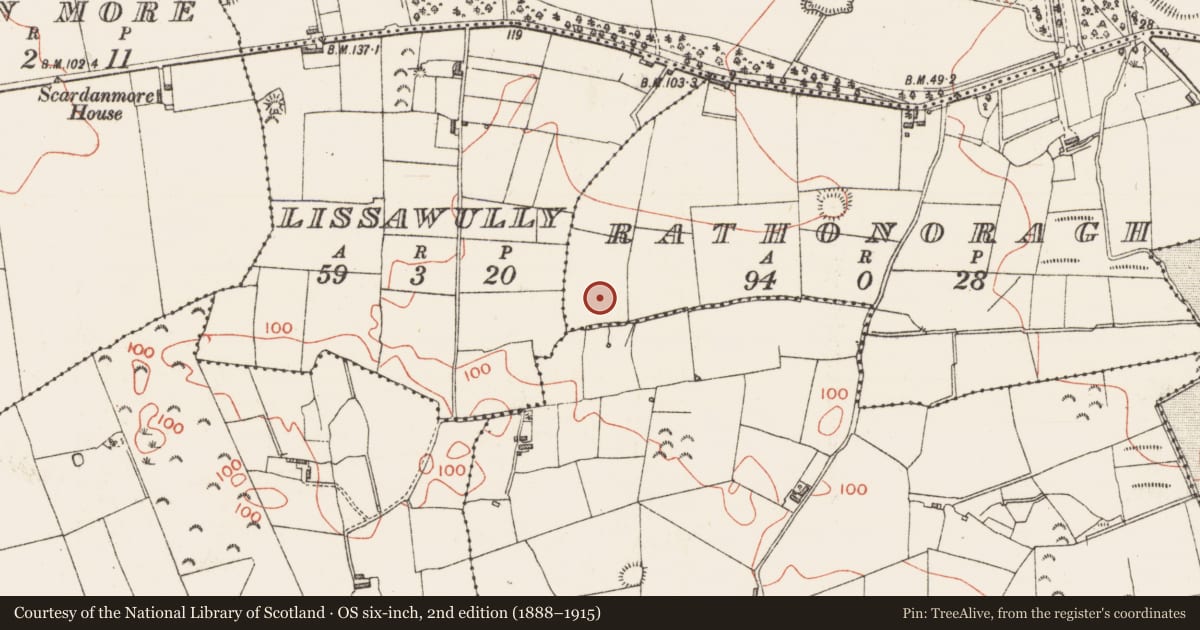 Ordnance Survey six-inch map, 2nd edition (1888–1915) covering the location of Enclosure, Rathonoragh, County Sligo, with a pin at the register's coordinates