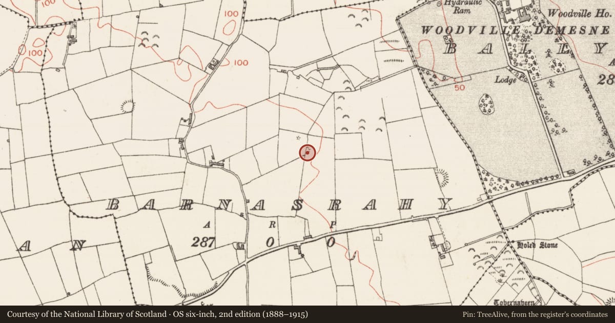 Ordnance Survey six-inch map, 2nd edition (1888–1915) covering the location of Megalithic tomb - passage tomb, Barnasrahy, County Sligo, with a pin at the register's coordinates