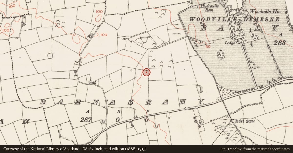 Ordnance Survey six-inch map, 2nd edition (1888–1915) covering the location of Megalithic structure, Barnasrahy, County Sligo, with a pin at the register's coordinates