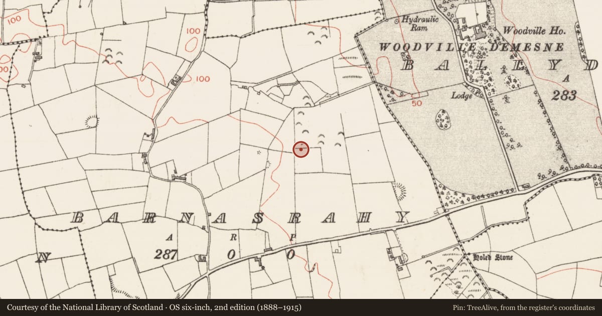 Ordnance Survey six-inch map, 2nd edition (1888–1915) covering the location of Anomalous stone group, Barnasrahy, County Sligo, with a pin at the register's coordinates