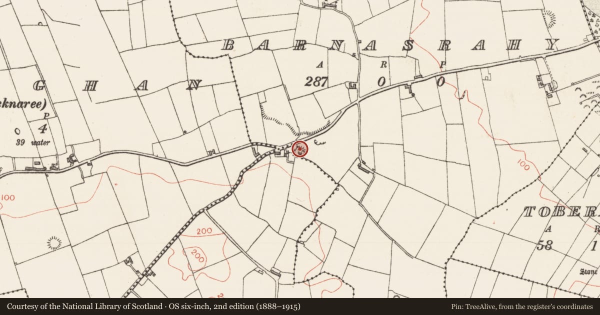 Ordnance Survey six-inch map, 2nd edition (1888–1915) covering the location of Ringfort - rath, Barnasrahy, County Sligo, with a pin at the register's coordinates