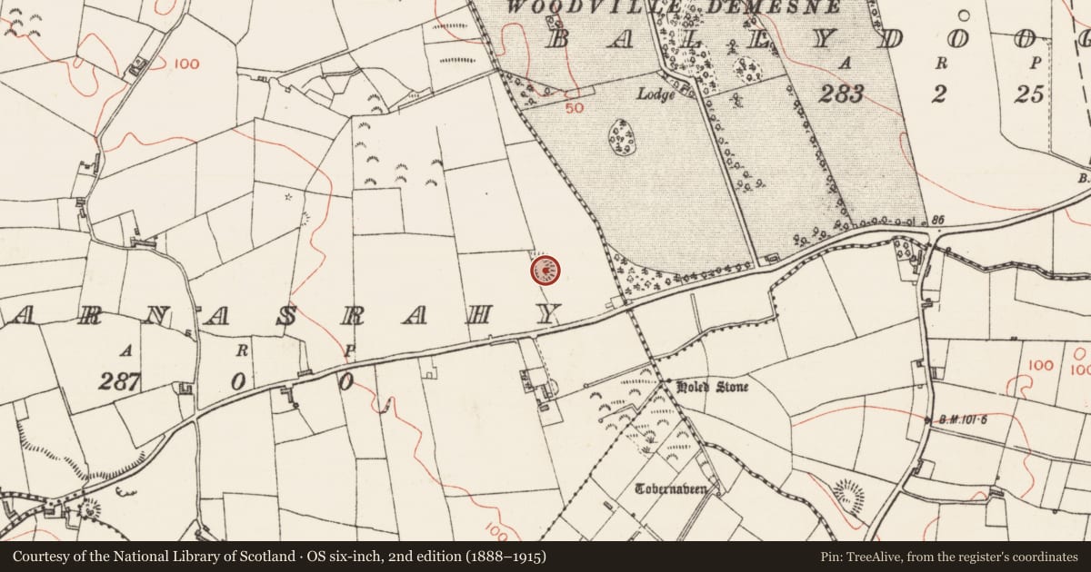 Ordnance Survey six-inch map, 2nd edition (1888–1915) covering the location of Ringfort - rath, Barnasrahy, County Sligo, with a pin at the register's coordinates