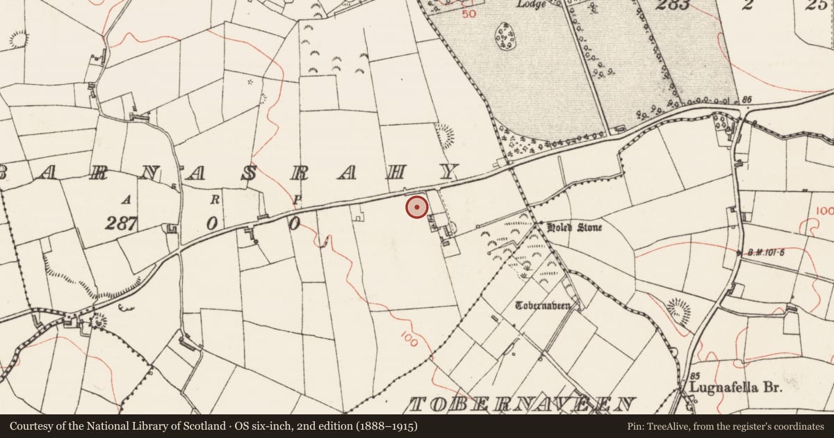 Ordnance Survey six-inch map, 2nd edition (1888–1915) covering the location of Enclosure, Barnasrahy, County Sligo, with a pin at the register's coordinates