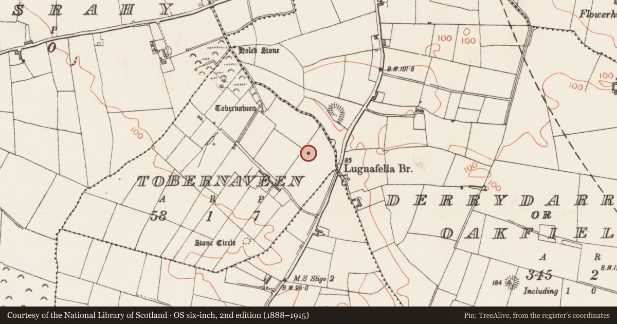 Ordnance Survey six-inch map, 2nd edition (1888–1915) covering the location of Barrow - bowl-barrow, Tobernaveen, County Sligo, with a pin at the register's coordinates