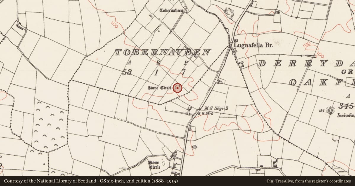 Ordnance Survey six-inch map, 2nd edition (1888–1915) covering the location of Megalithic tomb - passage tomb, Tobernaveen, County Sligo, with a pin at the register's coordinates
