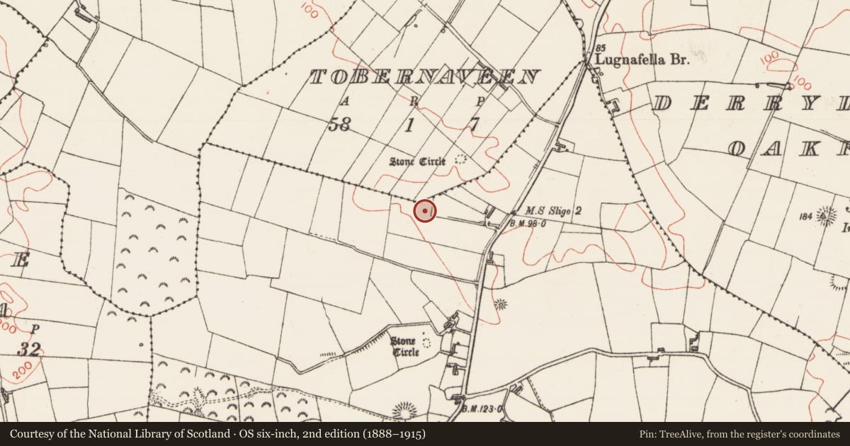Ordnance Survey six-inch map, 2nd edition (1888–1915) covering the location of Megalithic structure, Carrowmore, County Sligo, with a pin at the register's coordinates