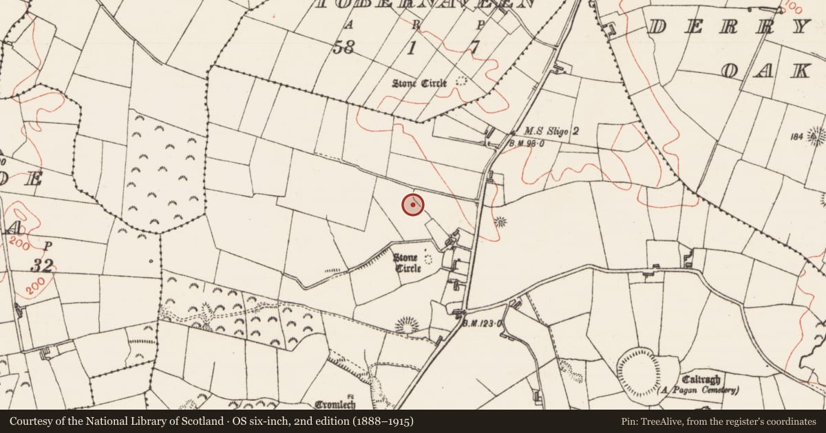Ordnance Survey six-inch map, 2nd edition (1888–1915) covering the location of Megalithic tomb - passage tomb, Carrowmore, County Sligo, with a pin at the register's coordinates